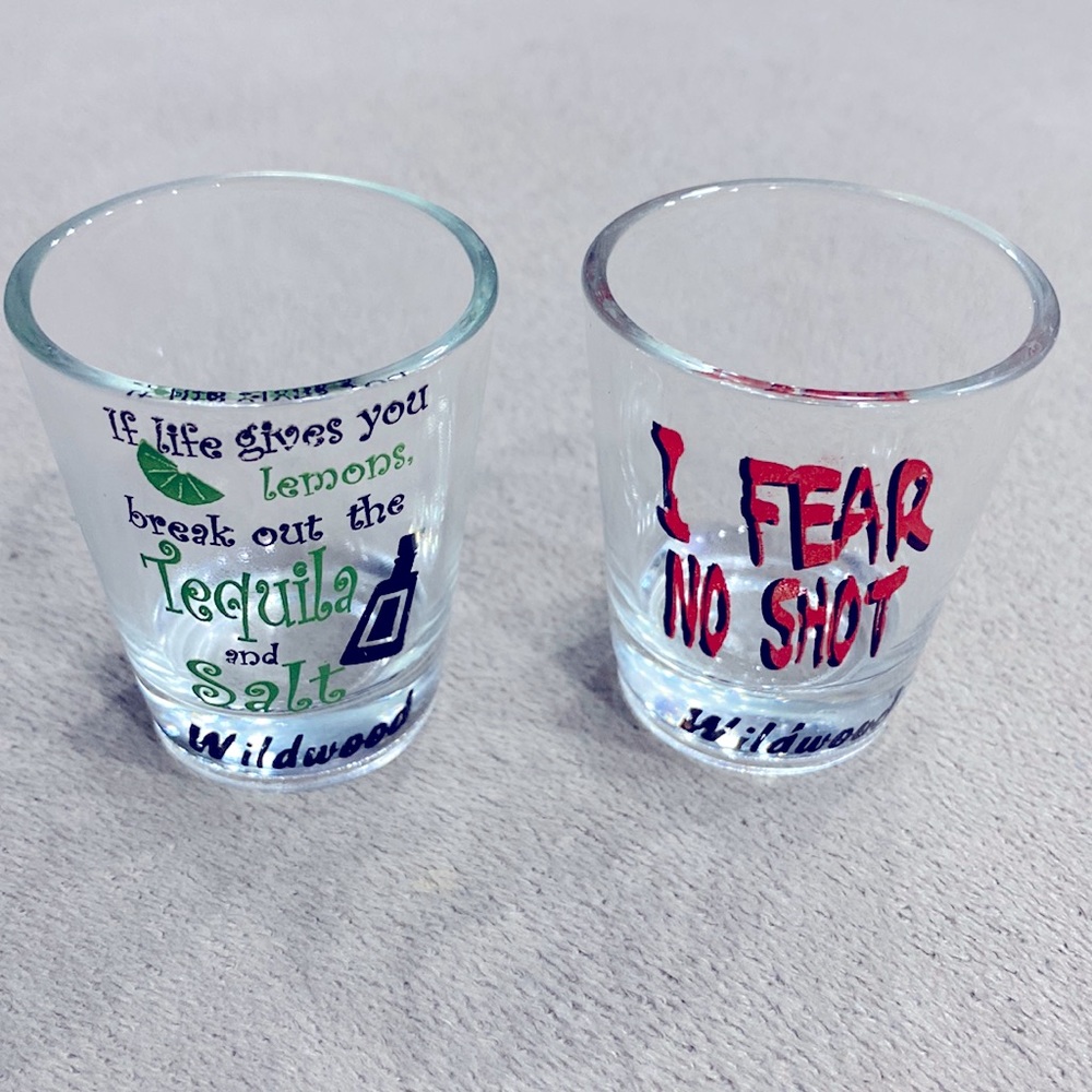 Shot Glasses Set of 2 🥃 - From Wildwood Resort Collection Tequila & Salt Logo !